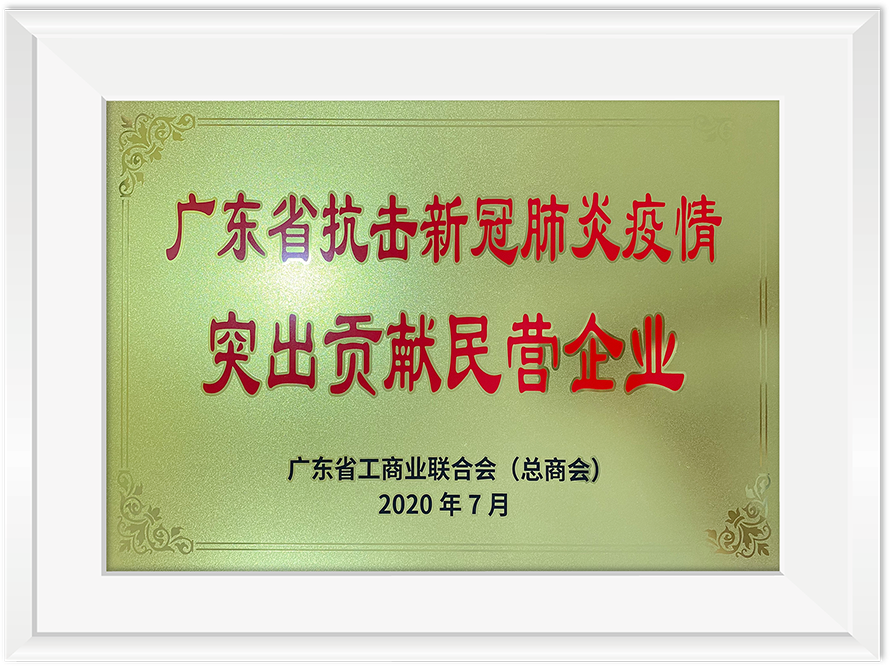 廣東省抗擊新冠肺炎疫情突出貢獻(xiàn)民營企業(yè)
